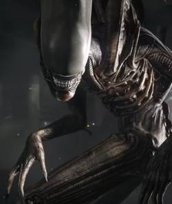 Alien: Isolation's Xenomorph faces the camera, baring its teeth.