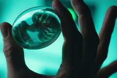 miniature-alien-egg-on-covenant